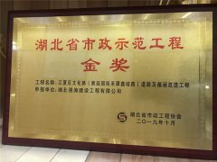 热烈庆祝公司一举摘得湖(hú)北省市政示范工程金奖